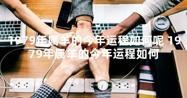 1979年属羊的今年运程如何呢 1979年属羊的今年运程如何